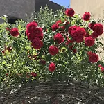 Alla Frasca
