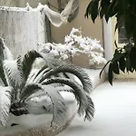ホテル Alla Frasca ソットマリーナ