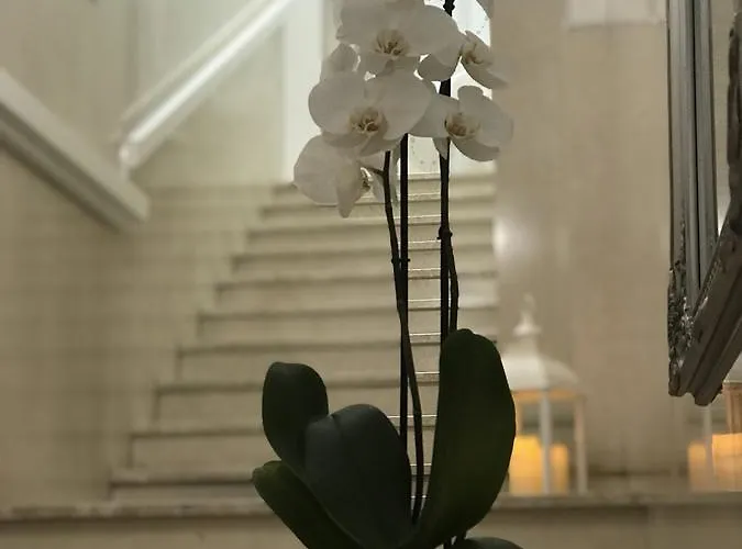 Alla Frasca Hotel Sottomarina