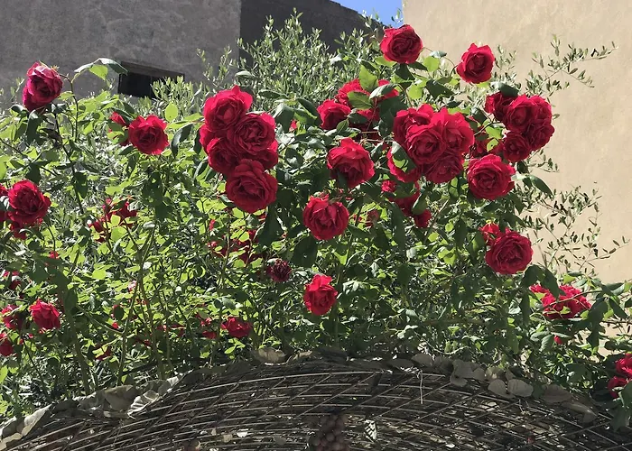 Alla Frasca
